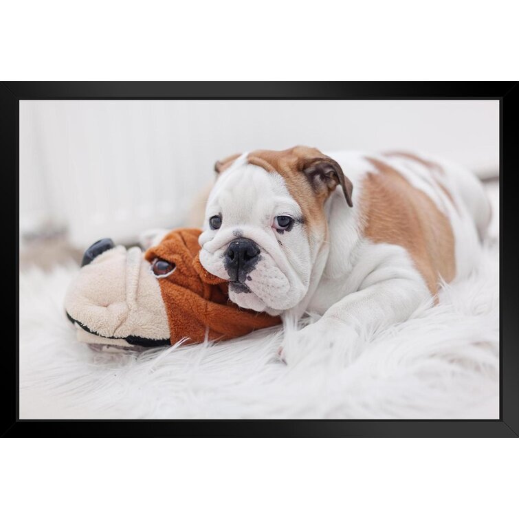 English bulldog hot sale toy